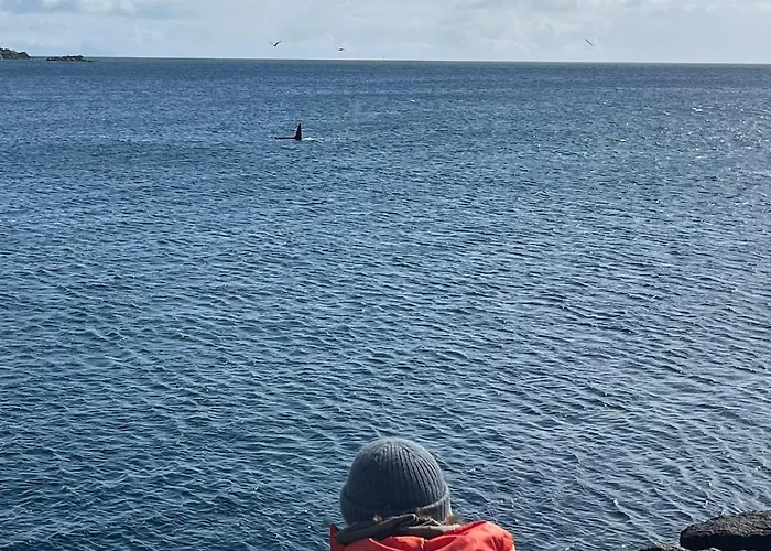 Kjeøya - Exclusive Island Retreat Feriehus Vestvagoy