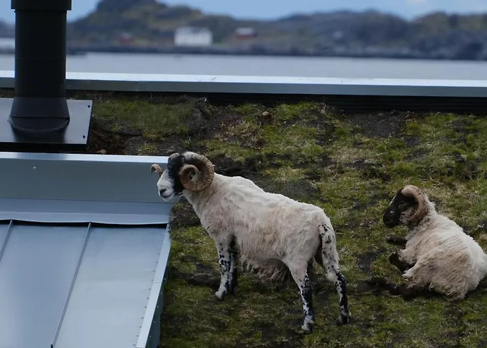 Kjeøya - Exclusive Island Retreat Feriehus Vestvagoy